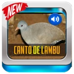 Logo of Canto De Lambu Completo android Application 