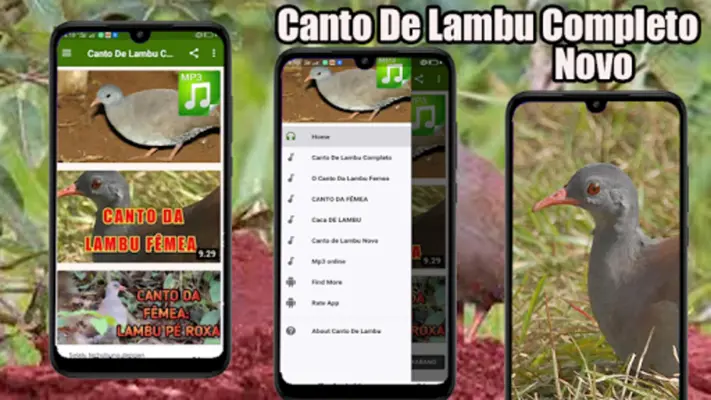 Canto De Lambu Completo android App screenshot 1